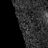 F090W image, 3.2 arcsec across, north up