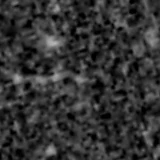 F277W image, 3.2 arcsec across, north up