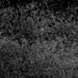 F115W image, 3.2 arcsec across, north up