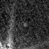 F115W image, 3.2 arcsec across, north up