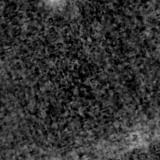 F115W image, 3.2 arcsec across, north up