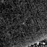 F115W image, 3.2 arcsec across, north up