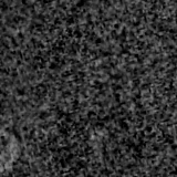 F090W image, 3.2 arcsec across, north up