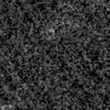 F090W image, 3.2 arcsec across, north up