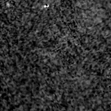 F090W image, 3.2 arcsec across, north up