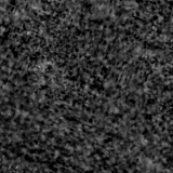 F090W image, 3.2 arcsec across, north up