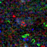 Colour composite: F444W red, F356W green, F277W blue, 3.2 arcsec across, north up