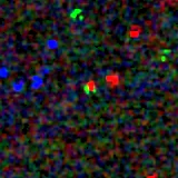 Colour composite: F444W red, F356W green, F277W blue, 3.2 arcsec across, north up