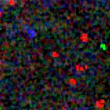 Colour composite: F444W red, F356W green, F277W blue, 3.2 arcsec across, north up