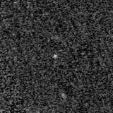 F115W image, 3.2 arcsec across, north up