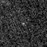 F115W image, 3.2 arcsec across, north up