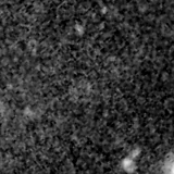 F200W image, 3.2 arcsec across, north up