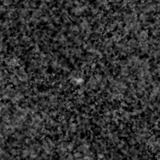 F115W image, 3.2 arcsec across, north up