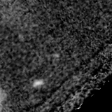 F150W image, 3.2 arcsec across, north up