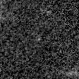 F115W image, 3.2 arcsec across, north up