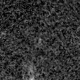 F150W image, 3.2 arcsec across, north up