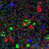 Colour composite: F444W red, F356W green, F277W blue, 3.2 arcsec across, north up