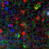 Colour composite: F444W red, F356W green, F277W blue, 3.2 arcsec across, north up