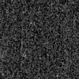 F115W image, 3.2 arcsec across, north up
