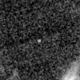 F115W image, 3.2 arcsec across, north up