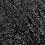 F115W image, 3.2 arcsec across, north up
