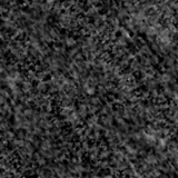 F150W image, 3.2 arcsec across, north up