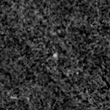 F200W image, 3.2 arcsec across, north up