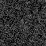 F090W image, 3.2 arcsec across, north up