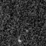 F090W image, 3.2 arcsec across, north up