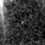 F277W image, 3.2 arcsec across, north up