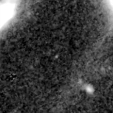 F150W image, 3.2 arcsec across, north up