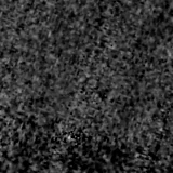 F090W image, 3.2 arcsec across, north up