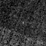 F150W image, 3.2 arcsec across, north up