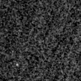 F150W image, 3.2 arcsec across, north up