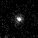 Abell 209 · 2453 in F444W