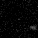BDF field · 1316 in F115W