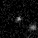 BDF field · 1316 in F444W
