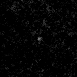 CEERS · 1129 in F115W