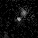 CEERS · 5581 in F444W