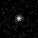 RXCJ0600-2007 · 4044 in F444W