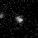 SPT-CL J0615-5746 · 1715 in F444W